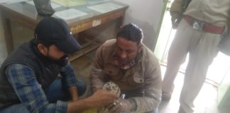 घायल उल्लू का उपचार कर नर्सरी भेजा।