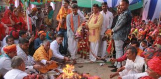 अनोखी शादी धूमधाम से कराई गई गाय और बेल की शादी