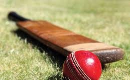 पांसल में श्री देव क्रिकेट प्रतियोगिता का आयोजन 26 फरवरी से