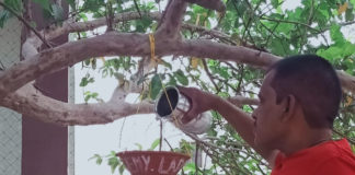 भीलवाड़ा में बाबा साहब अम्बेडकर के जन्मोत्सव पर लाड़ो ने किये परिण्डे वितरित