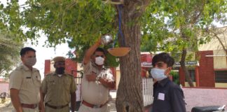 परिंडे बांध लिया पक्षियों की जल सेवा का संकल्प।