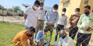 जिला औषधि केंद्र में पर्यावरण संरक्षण के तहत पौधरोपण किया
