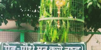 कोरोना महामारी: देशवासियों को दिया साहू ने संदेश