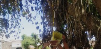 चलो आज आदमी से फ़रिश्ते बन जाओ,आज एक पक्षी की जान बचाओ