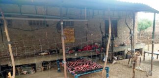 जानवरों के तबेले में इंसानों का ईलाज, तहसीलदार ने मारा छापा