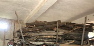 100 टन लकड़ी का किया सहयोग