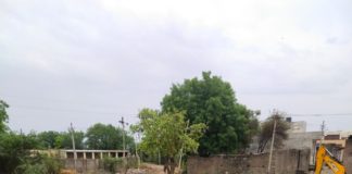 उपनगर पुर में बेजुबान प्राणी के लिए वरदान साबित हो रहा है शिव बालाजी गौ सेवा संगठन