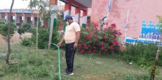 लॉक डाउन में शिक्षकों ने विद्यालय को किया हरा भरा