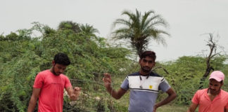 विश्व पर्यावरण दिवस के उपलक्ष पर पौधारोपण किया