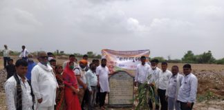 दौलपुरा में बा बापू वन क्षेत्र में किया पौधारोपण