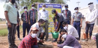 राजकीय एनएमपीजी कॉलेज स्थापना दिवस के उपलक्ष पर लगाए 1 हजार पौधे