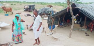 चोरों के द्वारा माँ बेटे के गले के सोने के जेवर व किराने की दुकान का शटर तोड़ कर ले गए सामान।