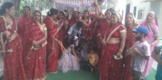 कल्पवृक्ष का विवाह संपन