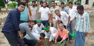 जिला कारागृह परिसर में किया पौधारोपण