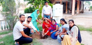 महिला ब्लॉक कांग्रेस कमेटी अध्यक्ष अनीता महावीर पारीक के नेतृत्व में जन्मोत्सव पर पौधारोपण किया।