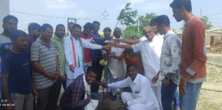 31 औषधीय फलदार पौधे लगाकर मनाया जन्मदिन