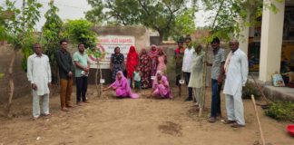 आगनबाड़ी पाठशाला में लगाई पत्तेदार सब्जियां व फलदार पौधे