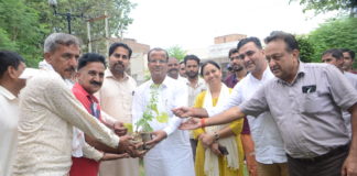 आमजन को बांटे जनऔषधी पौधे