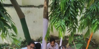 अनोखे अंदाज में मनाया विद्यालय परिवार ने सोनी का जन्मदिन