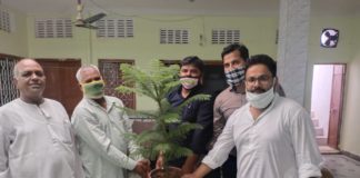 गमलों से घर को सुंदर और वातावरण को स्वच्छ बनाने में योगदान