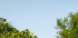 अलपिंजारा मंसूरी सेवा समिति की मीटिंग आयोजित हुई।