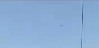 मंडारिया महारानी सांड माता का निकाला नेजा