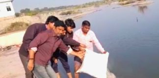 हनुमान रूपी वानर की अस्थियों का विसर्जन