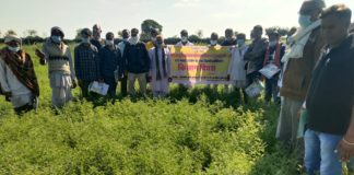 चना फसल पर किसान दिवस का आयोजन