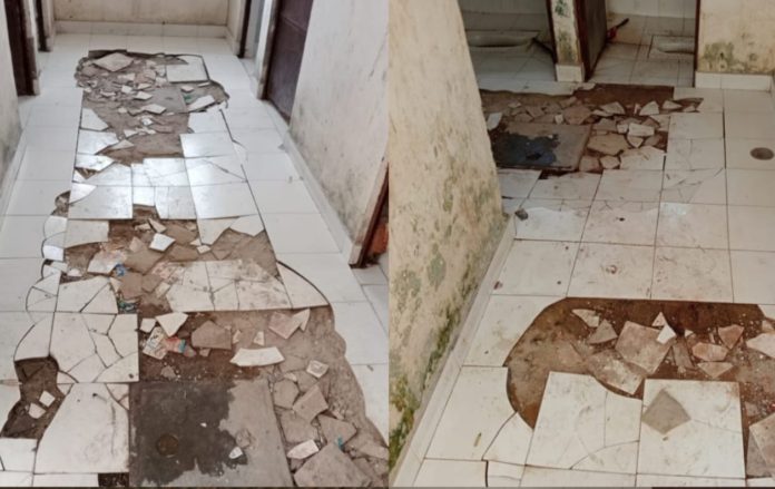 WhatsApp Image 2022-04-10 at 2.24.35 PM