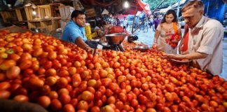टमाटर के दाम में भारी गिरावट, जनता को राहत, जानें अब कितने रुपये किलो मिलेगा