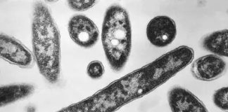 50 हजार साल बाद जागा दुनिया का सबसे खतरनाक वायरस, क्या आने वाली है एक भयानक महामारी?