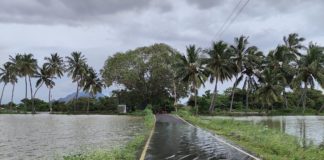 तमिलनाडु में बारिश के बाद बाढ़, झीलें फूटीं, कई जिलें हाई अलर्ट पर, देखें VIDEO