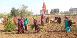 राम मंदिर स्थापना महोत्सव मेंबालाजी मंदिर की सफाई की