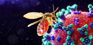 Chandipura virus: चांदीपुरा वायरस का कहर बढ़ा, अबतक गई 15 बच्चों की जान