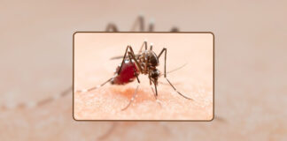 पुणे में फैला जीका वायरस, क्या है ये वायरस? इन 4 कारणों से फैलता जीका