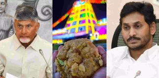 ‘तिरुपति मंदिर के लड्डू में जानवरों की चर्बी’ आंध्र प्रदेश में मचा सियासी बवाल, जानें पूरा मामला