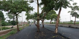 ये सड़क है या सरकारी मजाक? 100 करोड़ उड़ाकर बना बिहार का ‘विकास मार्ग’