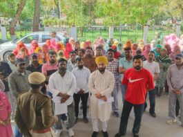 कर्मचारियों का 4 माह से वेतन बकाया, हड़ताल पर बैठे नगरपालिका कर्मचारी