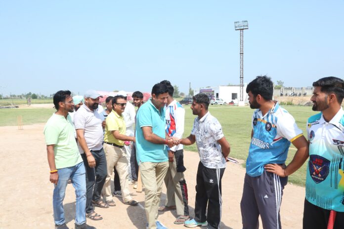 03_Double Viket Cricat (1)