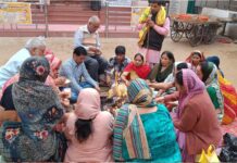 फाटक गौशाला में अमावस्या पर विशेष हवन यज्ञ, गोवंश कल्याण की कामना