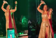 जैस्मिन सैंडलास के कॉन्सर्ट पर क्यों छिड़ी फैंस के बीच बहस, देखिए VIDEO