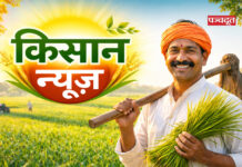 UP के किसानों के लिए गुडन्यूज, सरकार खरीदेगी किसानों से सीधे भूसा, जानिए इसके बारें सबकुछ