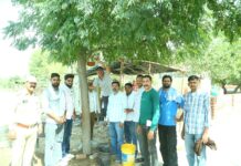 हनुमानगढ़ यातायात जन सलाहकार सेवा समिति ने डीटीओ कार्यालय परिसर में लगाए 50 परिंडे