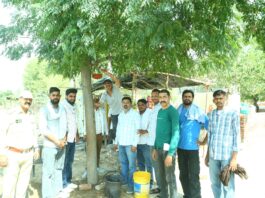 हनुमानगढ़ यातायात जन सलाहकार सेवा समिति ने डीटीओ कार्यालय परिसर में लगाए 50 परिंडे