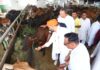 पूर्व मुख्यमंत्री अशोक गहलोत का जन्मदिन धूमधाम से मनाया