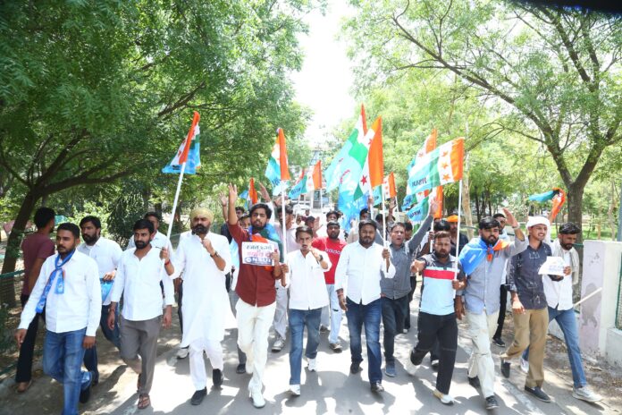 02_NSUI (1)