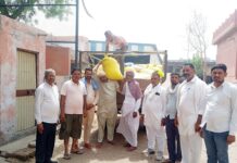 ग्रामीणों ने गौसेवा में दिखाई आस्था, गौशाला को भेंट की एक ट्रॉली कनक