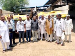 फतेहगढ़ गोदारावास के ग्रामीणों ने गौ माता के लिए दिया 150 क्विंटल कनक का दान