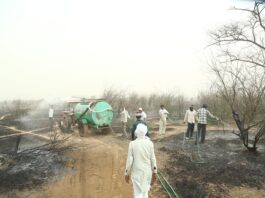 कोहला फॉर्म में फिर भड़की भीषण आग, 240 मरब्बे क्षेत्र में मची अफरा-तफरी*