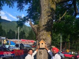 “द ईगल फाउंडेशन” की अनूठी पहल, लगाया गया लकड़ी का बर्ड हाउस’